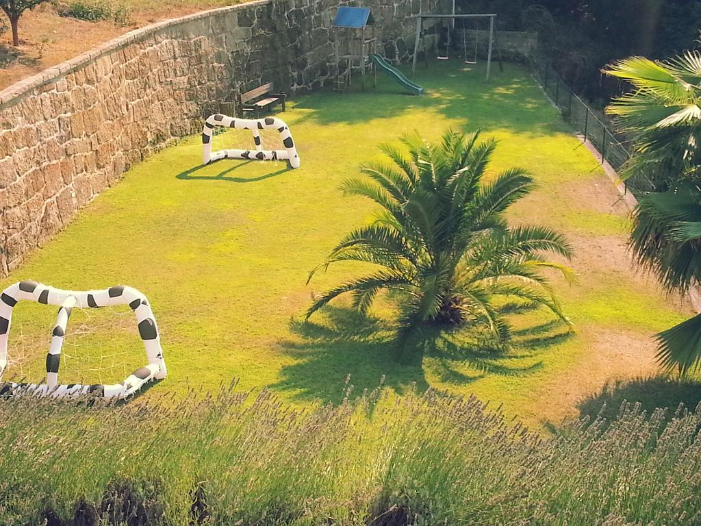 Quinta Das Tilias Douro Valley Cabaca Dış mekan fotoğraf