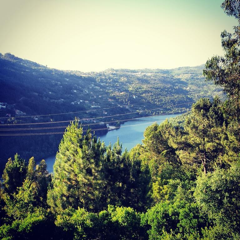 Quinta Das Tilias Douro Valley Cabaca Dış mekan fotoğraf
